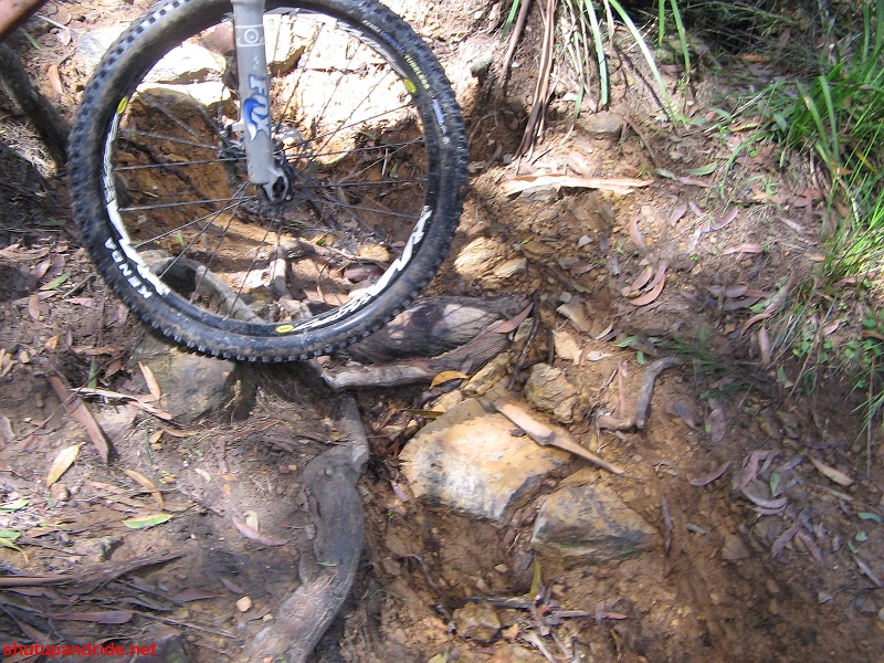 20080210-Bulli 051 